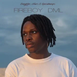 Fireboy DML - Laughter, Tears & Goosebumps (Album)