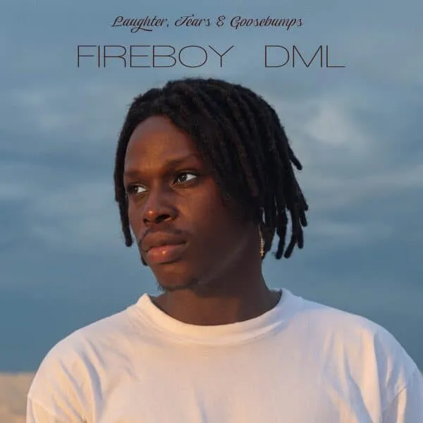 Fireboy DML - Laughter, Tears & Goosebumps (Album)